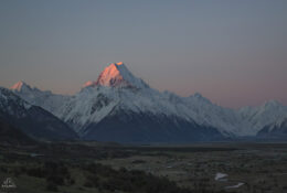 New Zealand 2025 (1 group) (22/66)